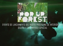 Pop-up Forest